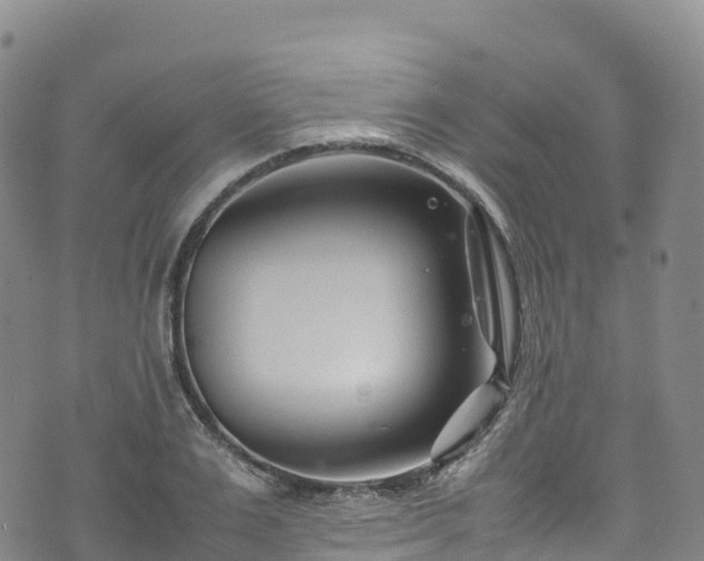 X0000074290983200609011403