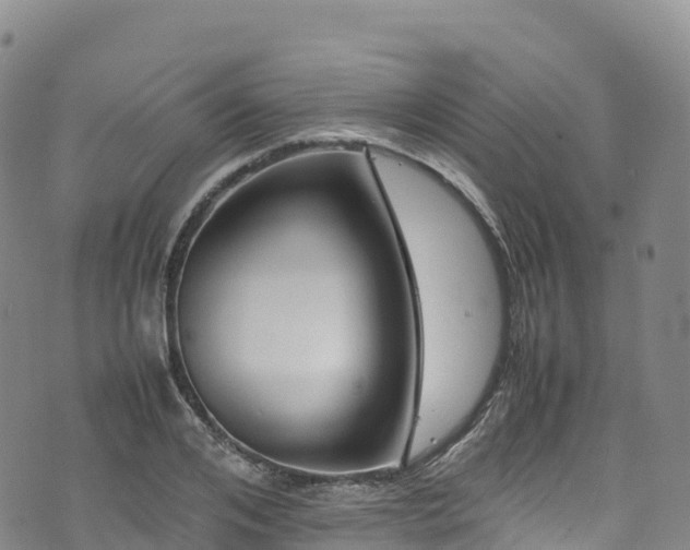 X0000074290984200609011403