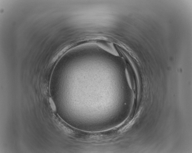 X0000074290985200609011402