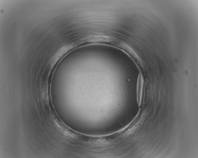 X0000074290986200609011402