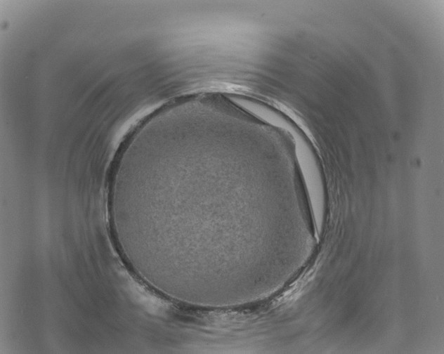 X0000074290987200609011402