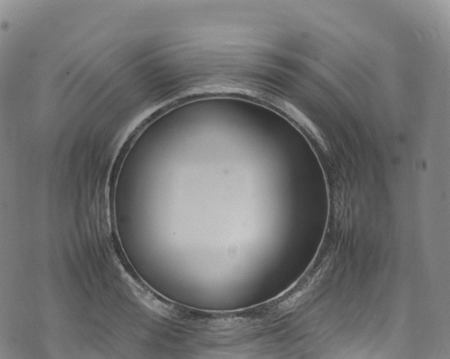 X0000074290988200609011402