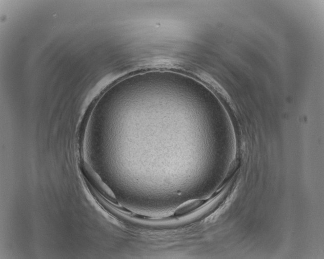 X0000074290989200609011402