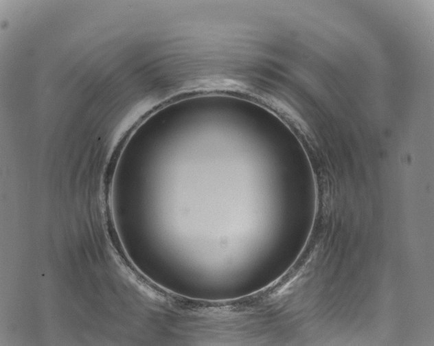 X0000074290990200609011402