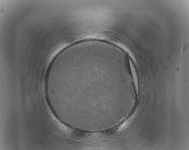 X0000074290991200609011402