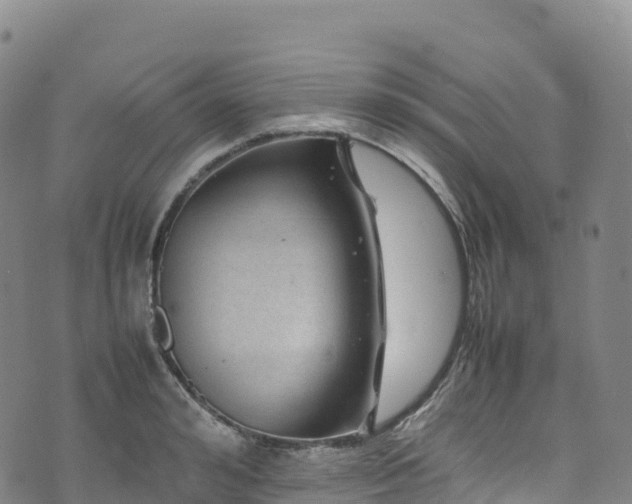 X0000074290992200609011402