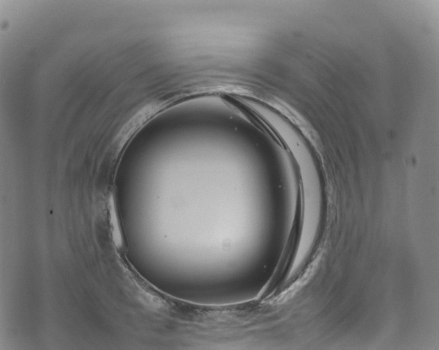 X0000074290993200609011402