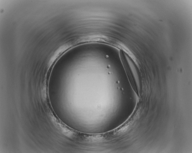 X0000074290994200609011402