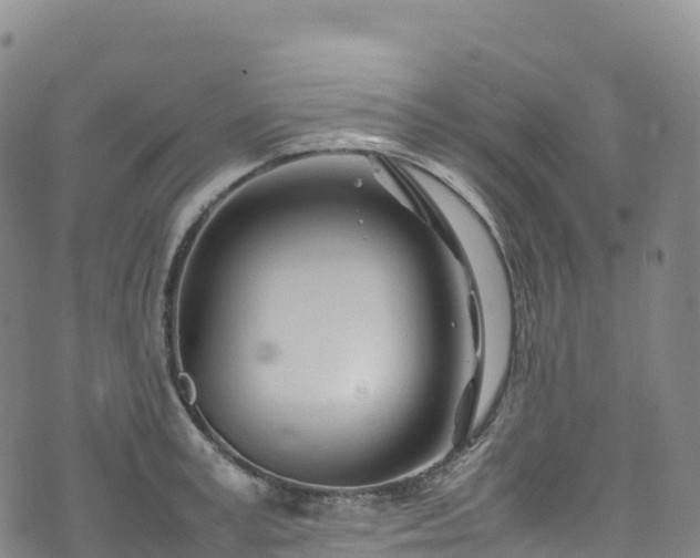 X0000074290995200609011402