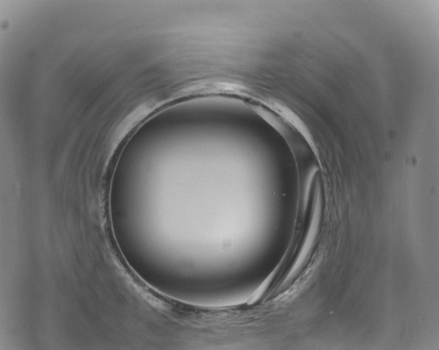 X0000074290997200609011402