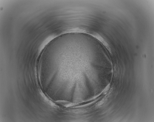 X0000074290998200609011402