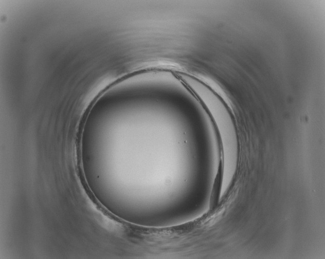 X0000074290999200609011402