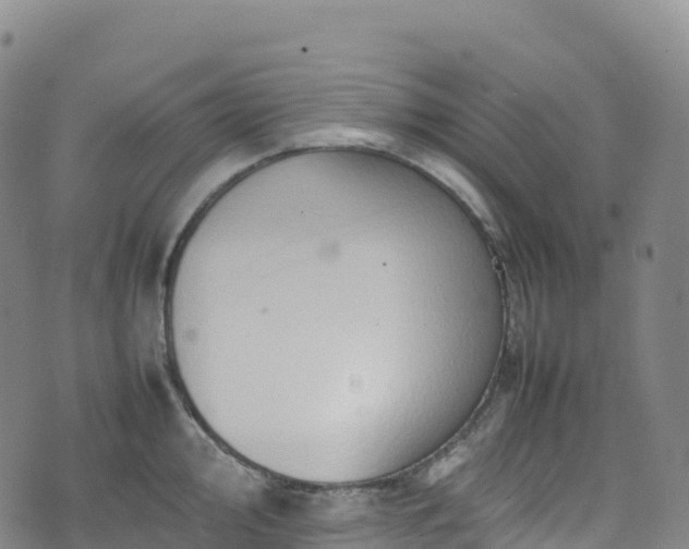 X0000074291000200609011402