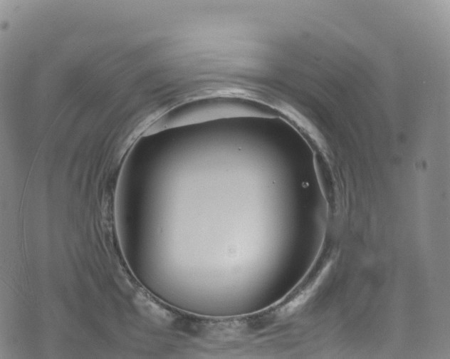 X0000074291001200609011402