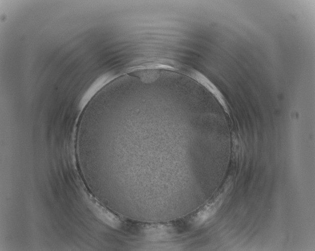 X0000074291002200609011402