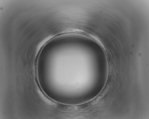 X0000074291003200609011402