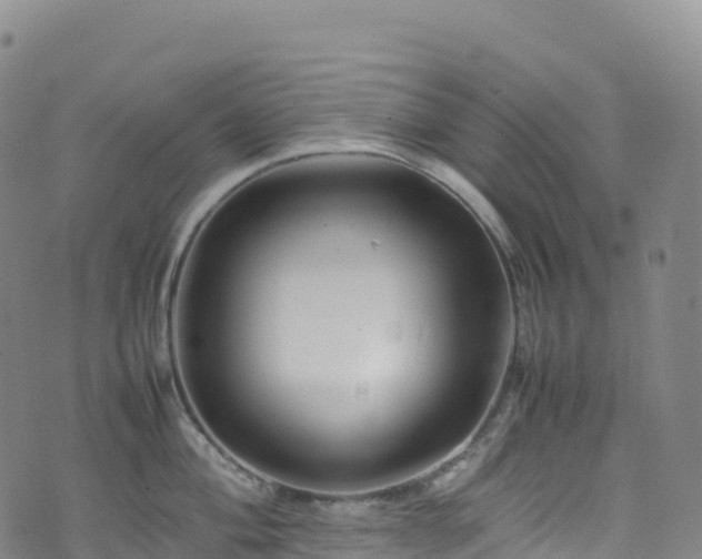 X0000074291004200609011402