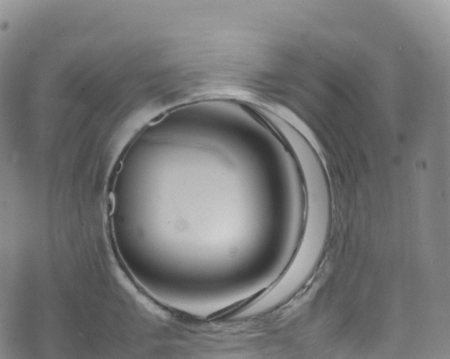 X0000074291005200609011402