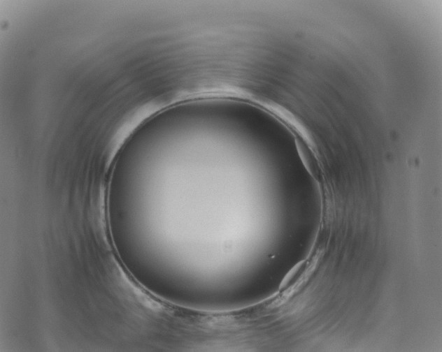 X0000074291006200609011402