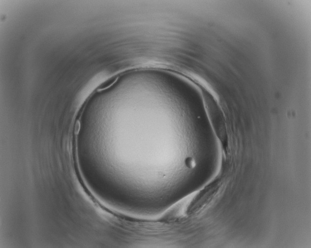 X0000074291007200609011402