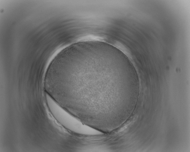 X0000074291008200609011402