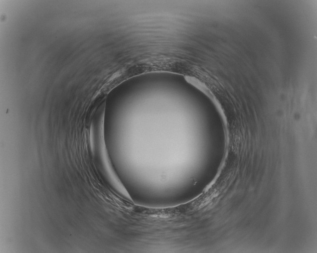 X0000074291010200609011401