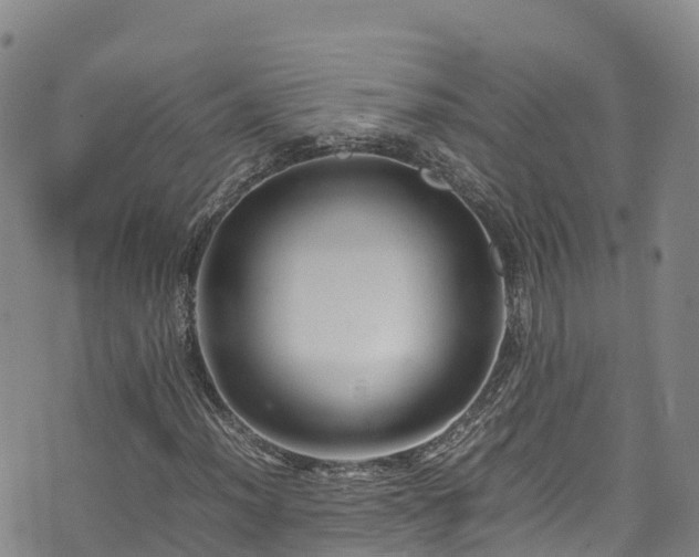 X0000074291012200609011401