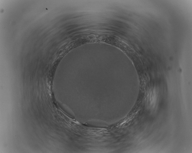 X0000074291013200609011401