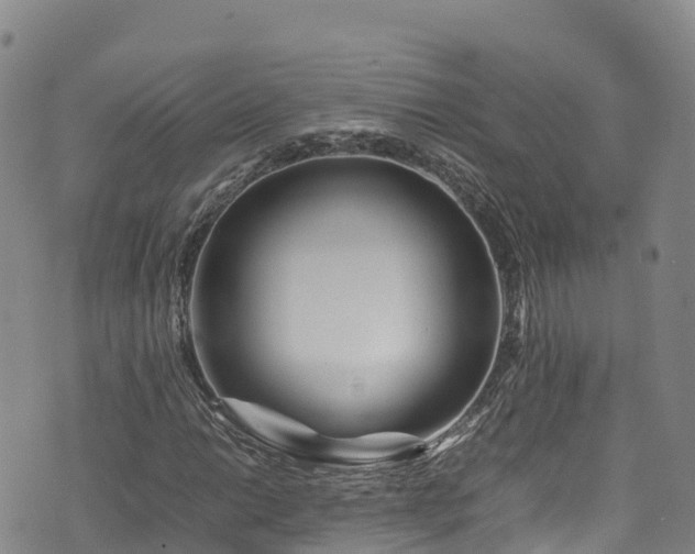 X0000074291014200609011401