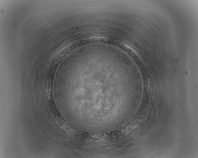 X0000074291015200609011401