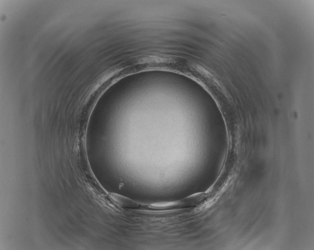 X0000074291017200609011401