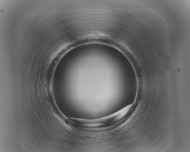 X0000074291018200609011401