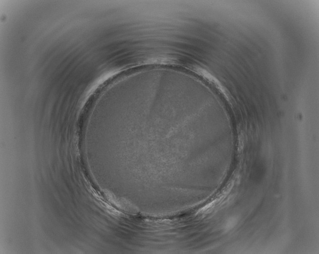 X0000074291019200609011401