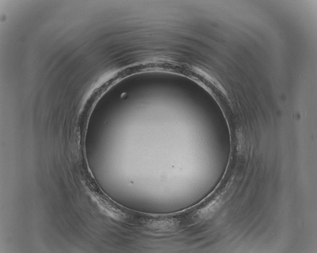 X0000074291021200609011402