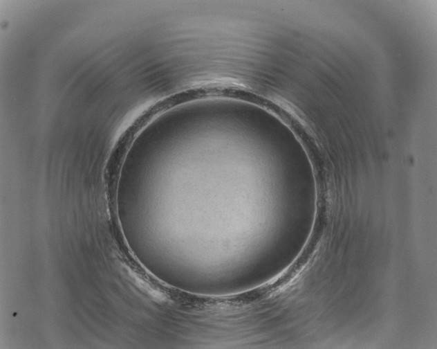 X0000074291022200609011402