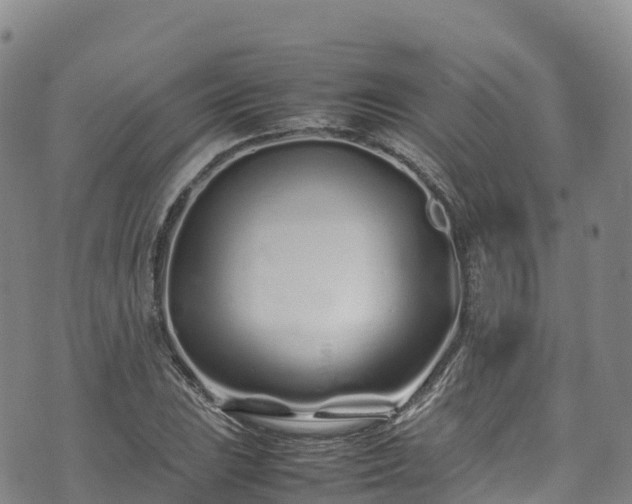 X0000074291023200609011402