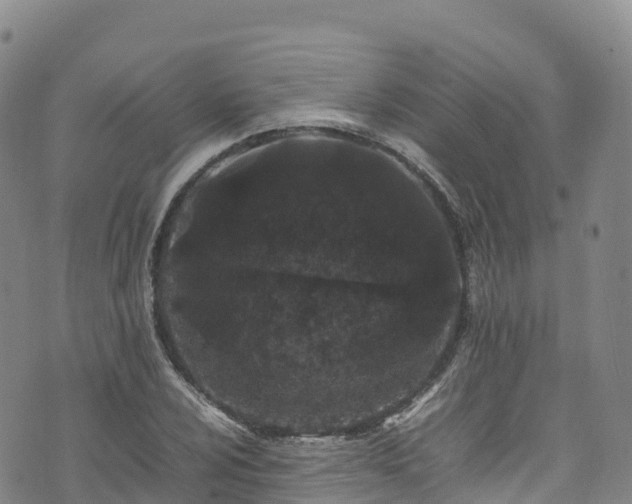 X0000074291024200609011402