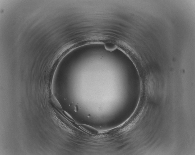 X0000074291025200609011402