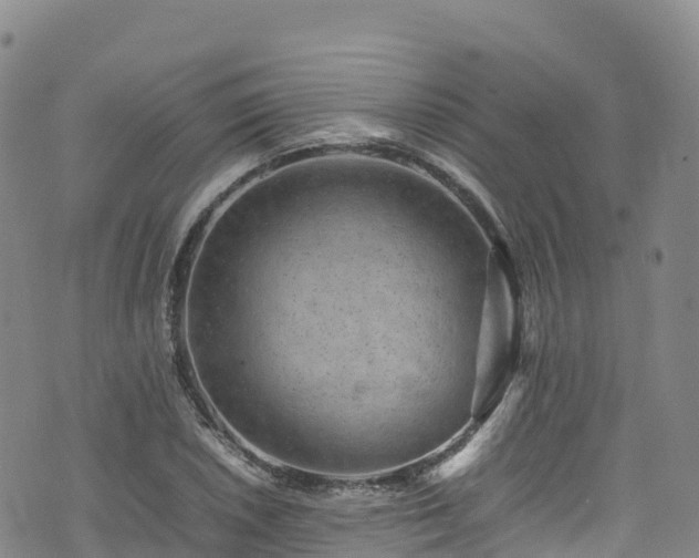 X0000074291026200609011402