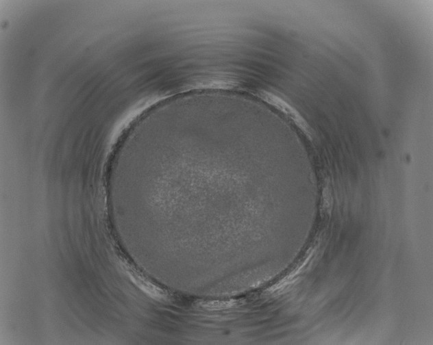 X0000074291027200609011402