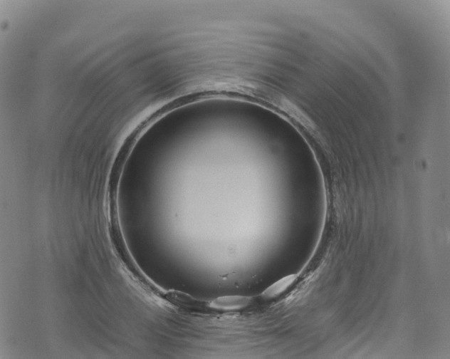 X0000074291028200609011402