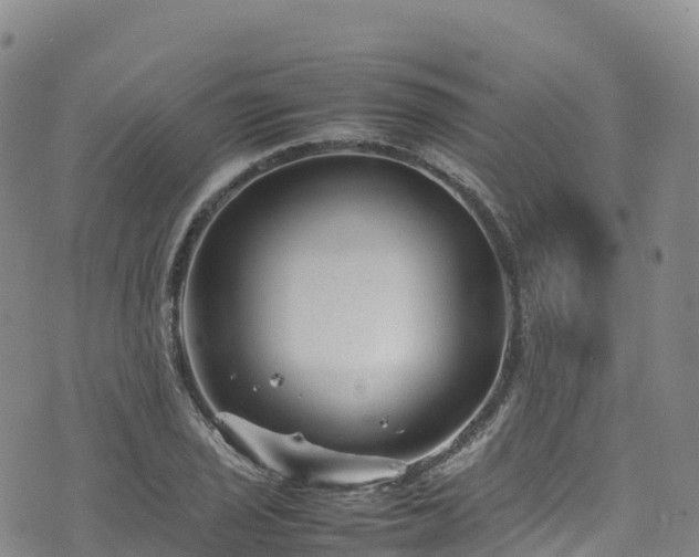 X0000074291029200609011402