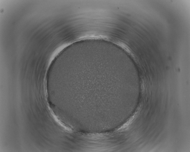 X0000074291030200609011402