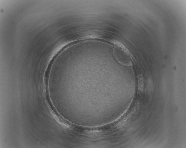 X0000074291031200609011402