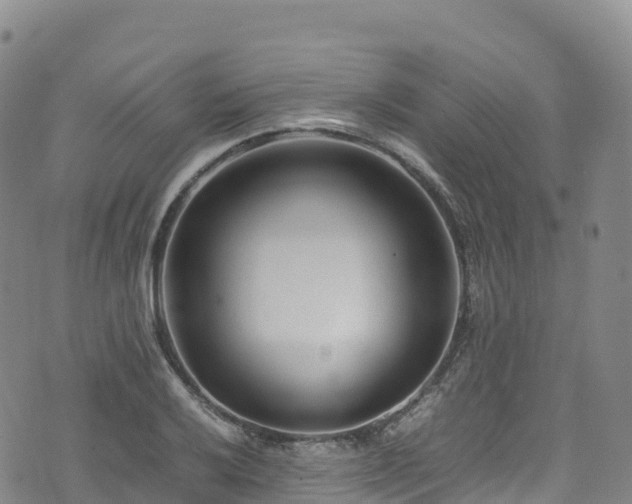 X0000074291032200609011402