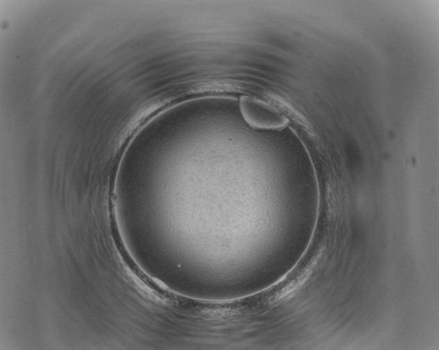 X0000074291033200609011402