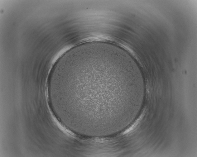 X0000074291034200609011402