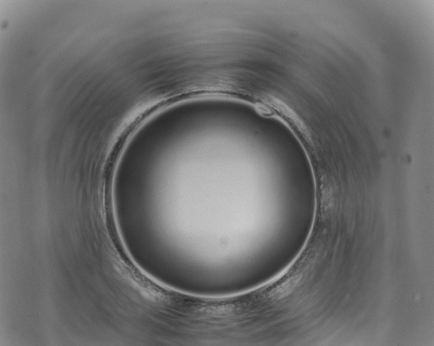 X0000074291035200609011402