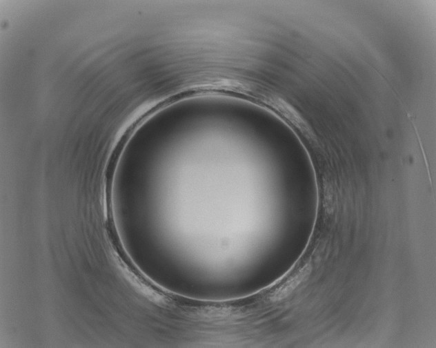 X0000074291036200609011402