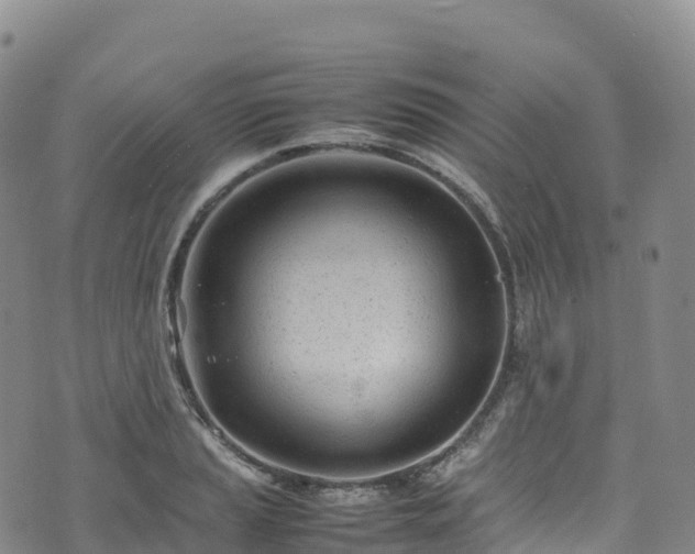 X0000074291037200609011402